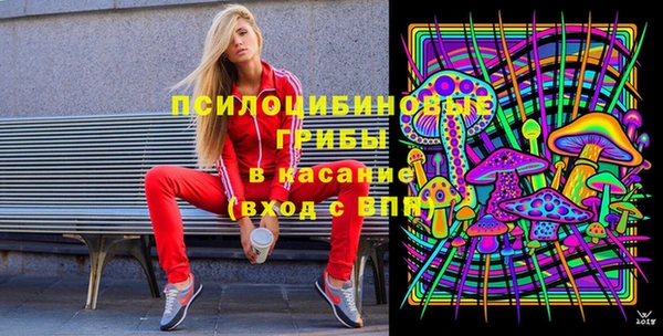 герыч Няндома