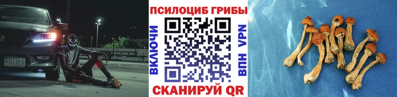 Галлюциногенные грибы Cubensis  Краснотурьинск 